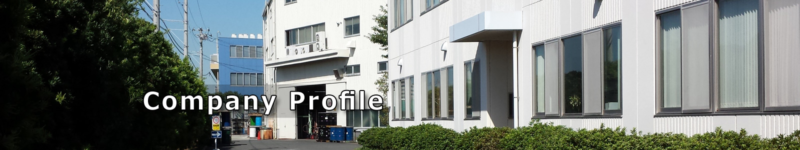 Company Profile