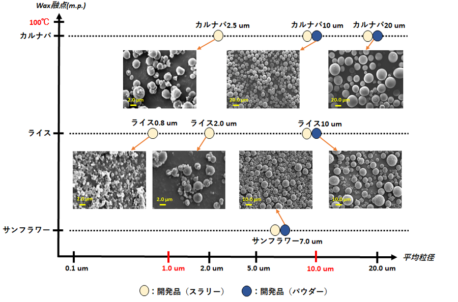 天然ワックス球形化